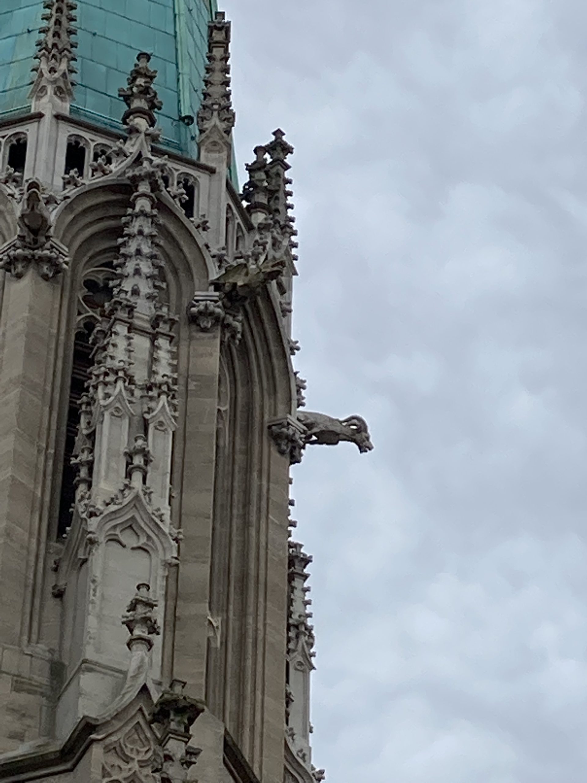 impressive gargoyle on St Marien