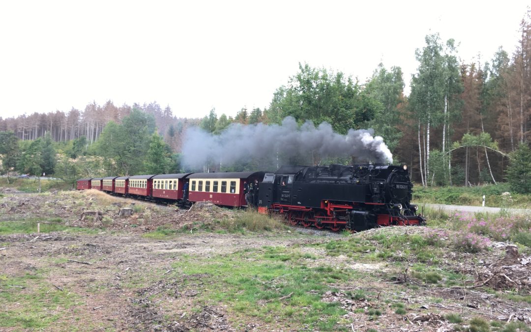Harz narrow gauge steam train
