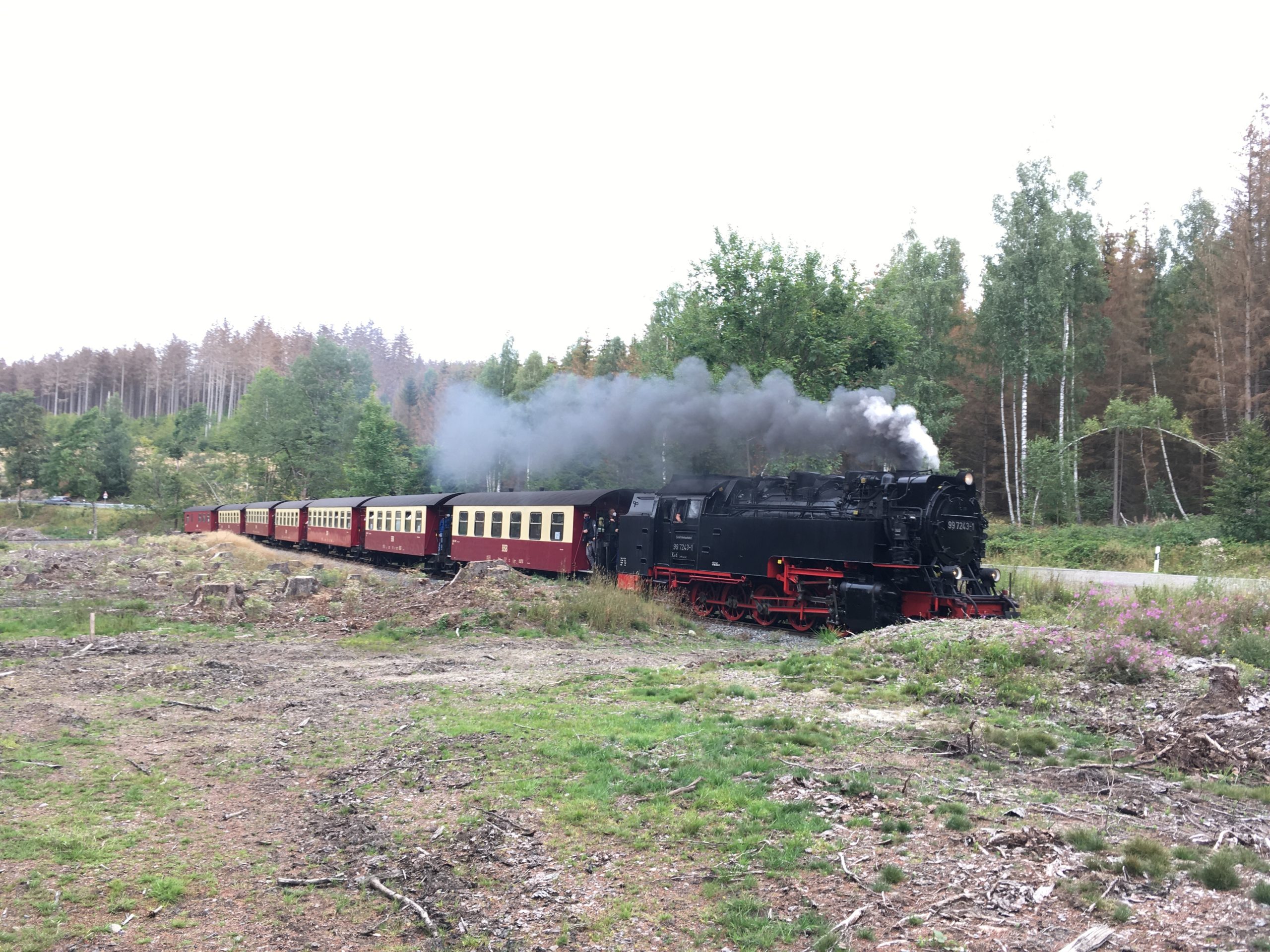 Harz narrow gauge steam train