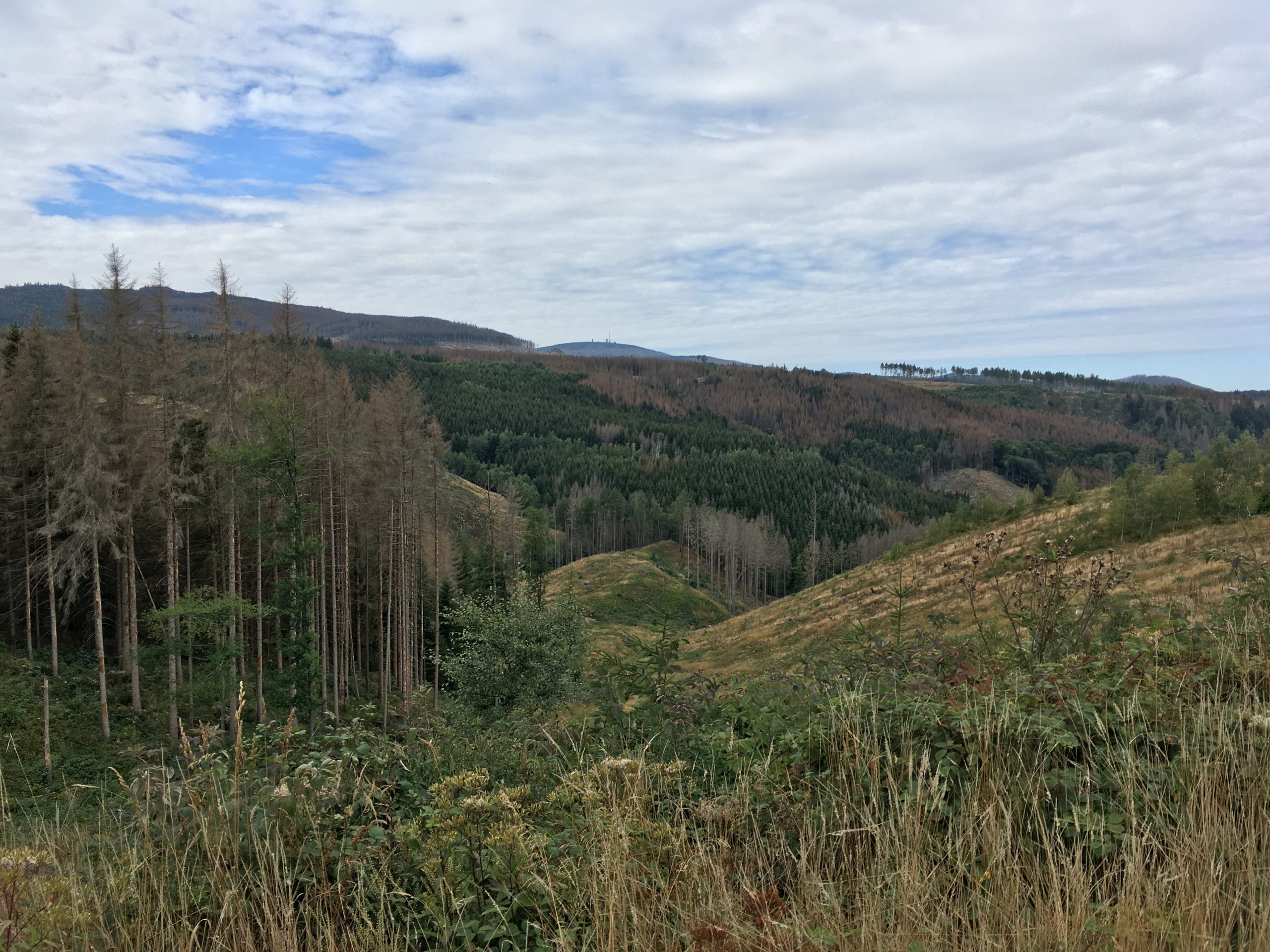 Harz landscape with Brocken