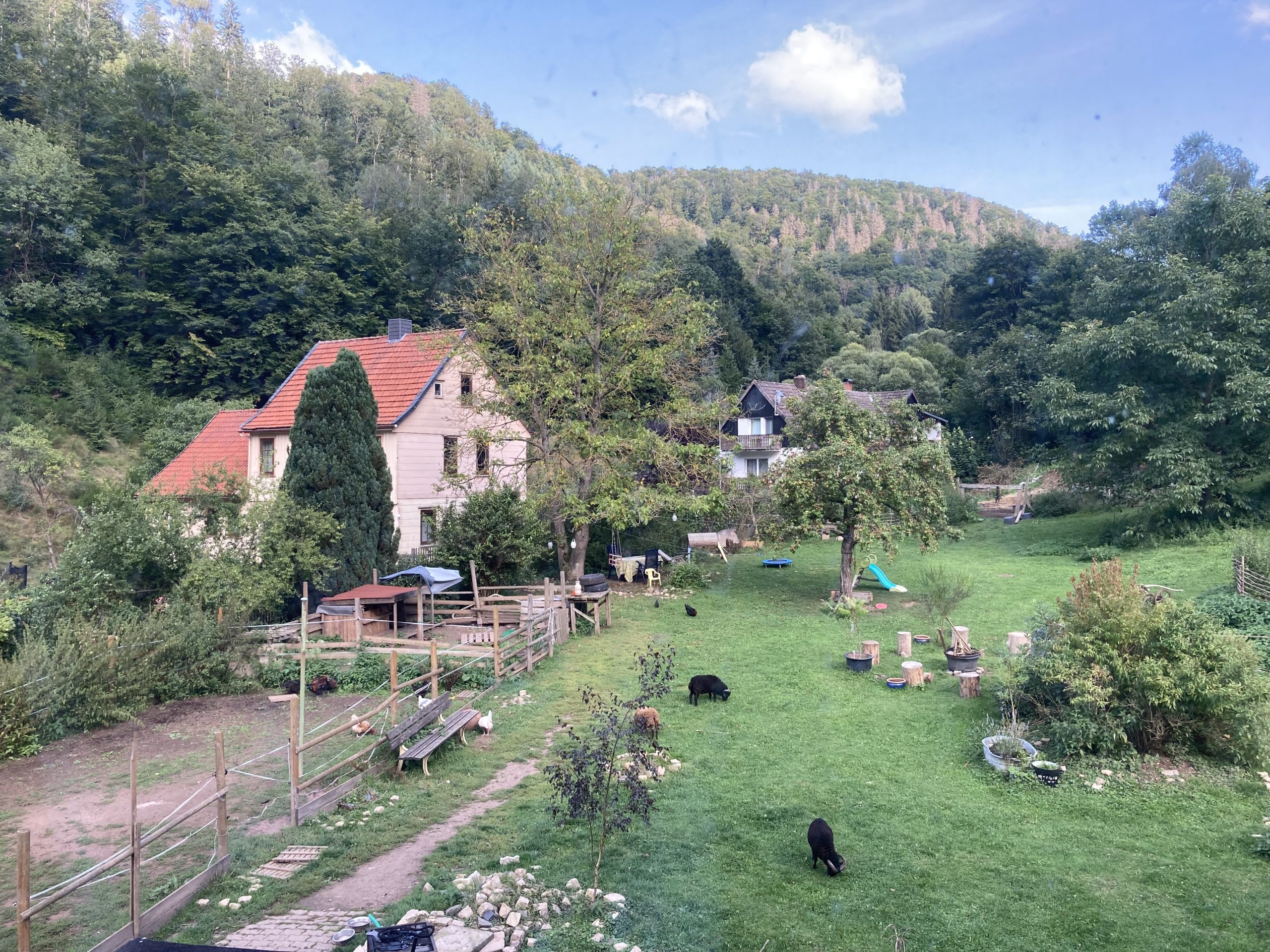 garden at the foot of the mountains in Zorge